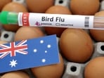 New Zealand reports its first case of the deadly H5N1 bird flu virus in a migratory sea bird(Reuters)