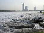 The 22-km stretch of the Yamuna from Wazirabad to Okhla in Delhi contributes the most to its overall pollution load.(Hindustan Times)