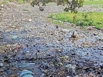 Laboratory analysis conducted on March 13, 2026, revealed that all five ponds failed to meet the standards prescribed under the state action plan for the rejuvenation of village ponds.