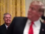 Lindsey Graham died on Saturday night.