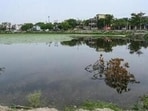 To compensate for the water bodies that cannot be restored, the authority informed the tribunal that it has developed 16.02 hectares of ponds and wetlands at alternative locations. (HT Archive)
