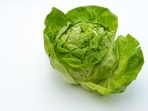 Infections from the diarrhea-causing parasite cyclospora are surging, with state-level data suggesting that 2026 is already the nation's worst year for reported cases.