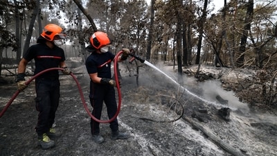 French firefighters work to extinguish a wildfire in the Fontainebleau forest near Noisy-sur-Ecole on July 15, 2026, as much of France is affected by a heat wave. Reuters/Stephane Mahe (REUTERS)