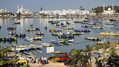 Fishing boats anchored at the Vizhinjam harbour. (PTI) Fishing boats anchored at the Vizhinjam harbour. (PTI)