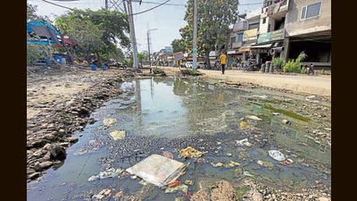 The accumulated sewage water near Rajiv Gandhi colony in Ludhiana on Wednesday. (Gurpreet Singh/HT) The accumulated sewage water near Rajiv Gandhi colony in Ludhiana on Wednesday. (Gurpreet Singh/HT)