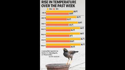 The late onset of monsoon is a big factor for this, as monsoon was only declared on July 1, and June had recorded rain 75% below normal. (HT Photo) The late onset of monsoon is a big factor for this, as monsoon was only declared on July 1, and June had recorded rain 75% below normal. (HT Photo)