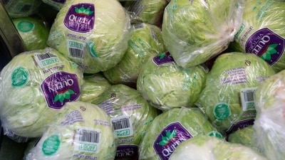 Lettuce sold at a store in San Francisco, California, U.S., Wednesday, June 17 (Bloomberg) Lettuce sold at a store in San Francisco, California, U.S., Wednesday, June 17 (Bloomberg)