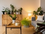 Learn how to brighten up your interiors during the gloomy monsoon season. 
