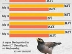 The late onset of monsoon is a big factor for this, as monsoon was only declared on July 1, and June had recorded rain 75% below normal. (HT Photo)