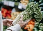 Michigan health officials have linked the cyclospora outbreak to lettuce and salad greens.