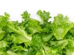 The ongoing multistate cyclosporiasis outbreak is linked to the parasite Cyclospora cayetanensis and has affected thousands of people.