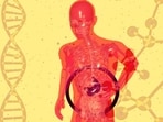 Metabolic dysfunction-associated steatotic liver disease is also known as the silent liver disease. 