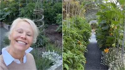 Pamela Anderson shares lush vegetable garden and sustainable lifestyle on Instagram. (Instagram/@pamelaanderson)