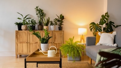 Learn how to brighten up your interiors during the gloomy monsoon season. (Picture credit: Freepik) Learn how to brighten up your interiors during the gloomy monsoon season. (Picture credit: Freepik)