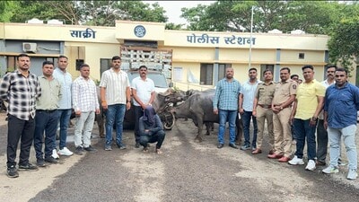 Police arrested a dairy farm worker on Tuesday in connection with a cattle theft case. (HT PHOTO) Police arrested a dairy farm worker on Tuesday in connection with a cattle theft case. (HT PHOTO)