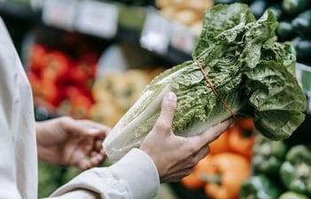 Michigan health officials have linked the cyclospora outbreak to lettuce and salad greens. (Pexels) Michigan health officials have linked the cyclospora outbreak to lettuce and salad greens. (Pexels)