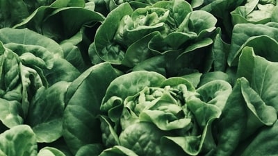 A multistate outbreak of cyclospora infections has put Taylor Farms at the center of investigation. (UnSplash) A multistate outbreak of cyclospora infections has put Taylor Farms at the center of investigation. (UnSplash)