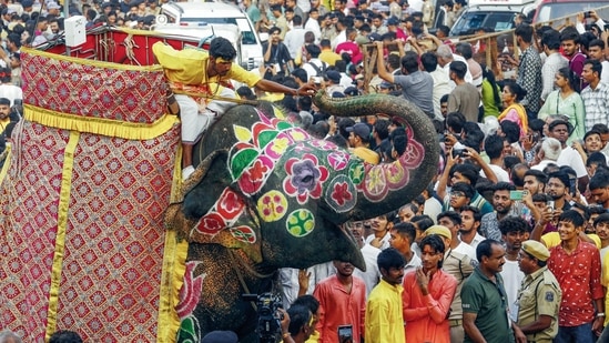A mahout on an elephant, along with devotees, present during the 149th Lord Jagannath Rath Yatra, in Ahmedabad on Thursday. The procession starts from Jagannath Temple in Ahmedabad's Jamalpur. (ANI Photo)