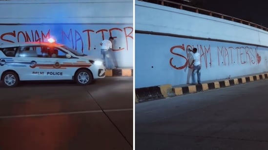 ‘Sonam Wangchuk matters’: Artist draws huge graffiti on Delhi flyover wall. Watch