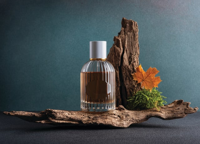 Oud, or agarwood, is a rare ingredient. Most perfumes carry the vibe, not the actual ingredient. Oud, or agarwood, is a rare ingredient. Most perfumes carry the vibe, not the actual ingredient.