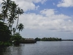 Kerala's local cuisine includes great fish curries.