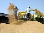 Rice millers and other industrialists said that the order could severely impact the industry and thousands of workers, if implemented immediately. (HT Photo for representation)