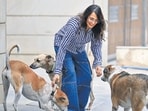 Vartika Sahani seen outside her house with dogs on Thursday. (Parveen Kumar/HT)