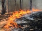 A vegetation fire, dubbed the Lynwood Fire, broke out in San Bernardino on Thursday. Image for representational purposes. 