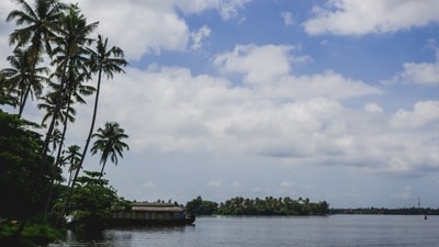 Kerala's local cuisine includes great fish curries. (Picture credit: Freepik) Kerala's local cuisine includes great fish curries. (Picture credit: Freepik)