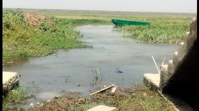 Bakhira Lake in east UP. (SOURCED) Bakhira Lake in east UP. (SOURCED)