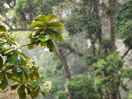 వాతావరణం అప్డేట్