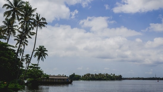 Kerala's local cuisine includes great fish curries.
