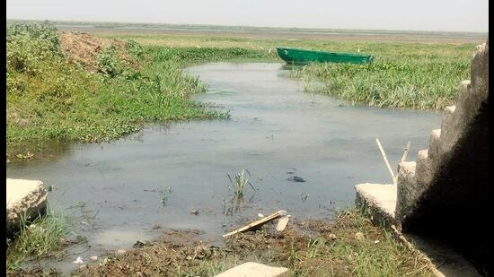 Bakhira Lake in east UP. (SOURCED)
