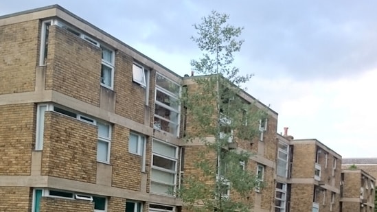 Tours of British post-war housing are a quiet hit