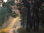 “Listening to the sounds of nature is in our DNA,” says Shaheen Shaik, Naturalist, Pugdundee Safari