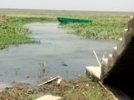 Bakhira Lake in east UP. (SOURCED)