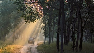 “Listening to the sounds of nature is in our DNA,” says Shaheen Shaik, Naturalist, Pugdundee Safari “Listening to the sounds of nature is in our DNA,” says Shaheen Shaik, Naturalist, Pugdundee Safari
