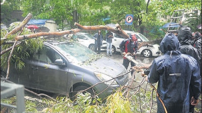 902 trees were uprooted across Mumbai, while 1,251 tree branches have crashed since the onset of the monsoon until July 17. (Bachchan Kumar/Hindustan Times) 902 trees were uprooted across Mumbai, while 1,251 tree branches have crashed since the onset of the monsoon until July 17. (Bachchan Kumar/Hindustan Times)