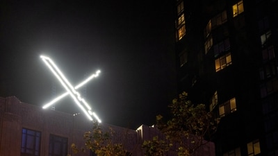 The 