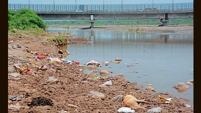 Garbage thrown on bank of Ghaggar River in Panchkula. (Sant Arora/HT) Garbage thrown on bank of Ghaggar River in Panchkula. (Sant Arora/HT)