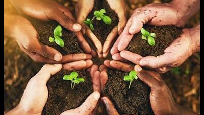 The first phase began on Saturday with the creation of “Samriddhi Van” at Osa Gram Sabha, where 7,500 saplings were planted. (Sourced) The first phase began on Saturday with the creation of “Samriddhi Van” at Osa Gram Sabha, where 7,500 saplings were planted. (Sourced)