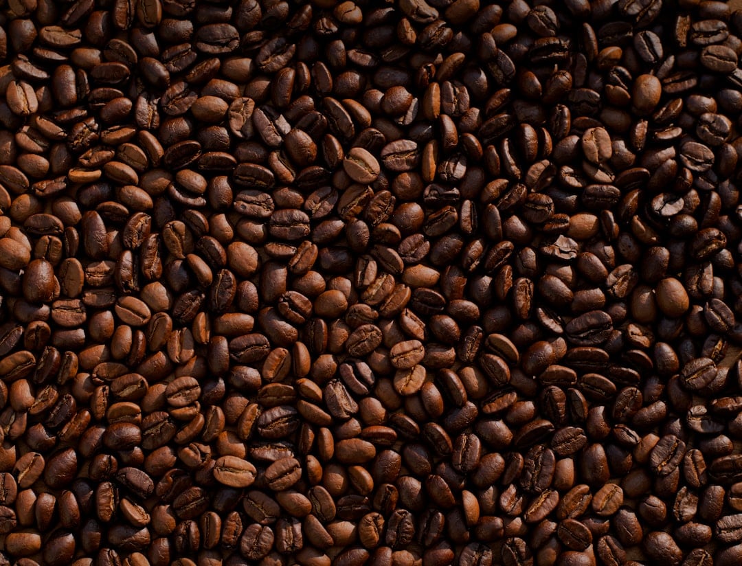 Higher prices in specialty coffee reflect the work that happens long before the beans arrive at a café. (Unsplash) Higher prices in specialty coffee reflect the work that happens long before the beans arrive at a café. (Unsplash)