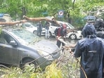 902 trees were uprooted across Mumbai, while 1,251 tree branches have crashed since the onset of the monsoon until July 17. (Bachchan Kumar/Hindustan Times)