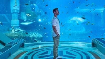 Chris Hemsworth also went to SeaWorld Yas Island during his vacation in Abu Dhabi. Chris Hemsworth also went to SeaWorld Yas Island during his vacation in Abu Dhabi.