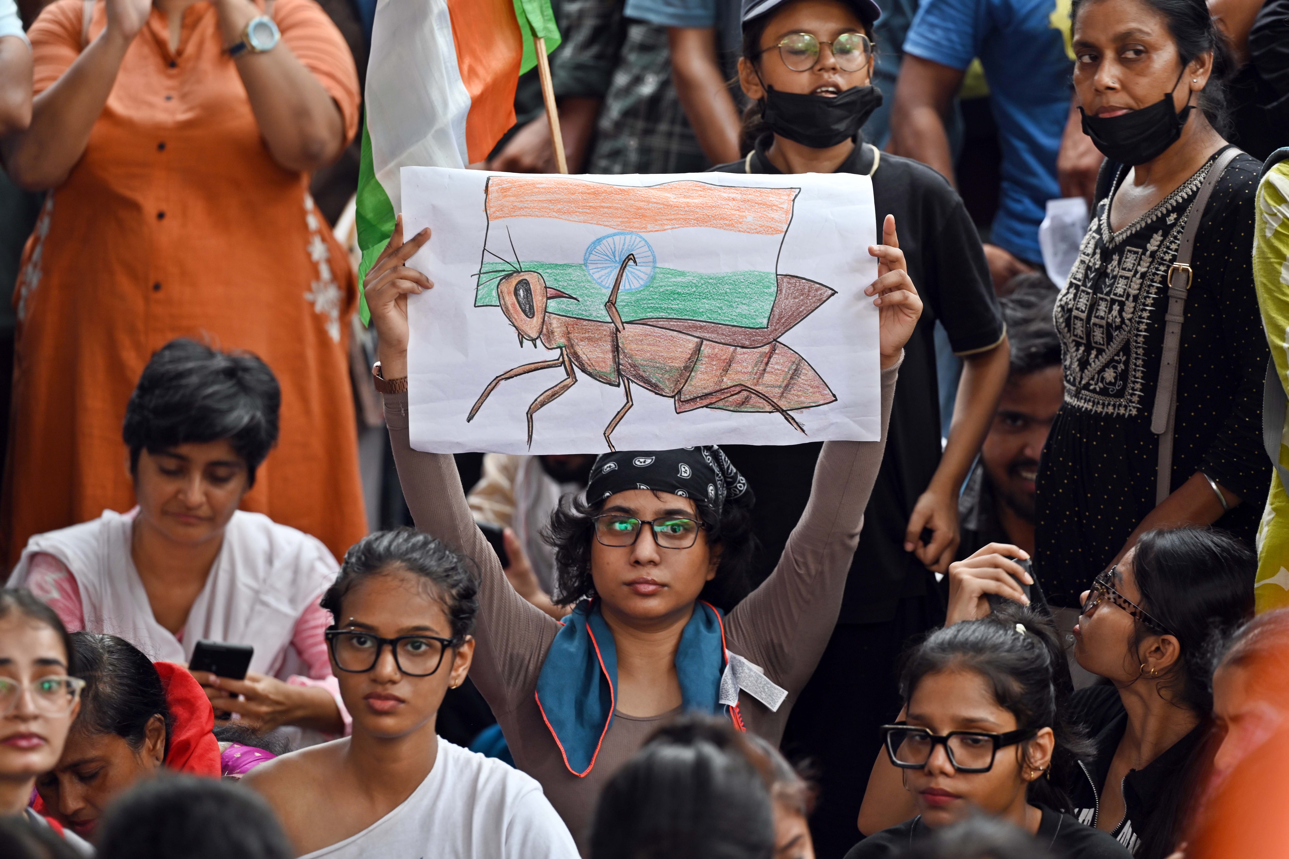 Supporters of Cockroach Janta Party (CJP), founded and named thus in May over some comments by Chief Justice of India, at the ongoing protest at Jantar Mantar in New Delhi on Sunday, July 19, 2026. (Sanjeev Verma/HT Photo) Supporters of Cockroach Janta Party (CJP), founded and named thus in May over some comments by Chief Justice of India, at the ongoing protest at Jantar Mantar in New Delhi on Sunday, July 19, 2026. (Sanjeev Verma/HT Photo)