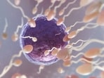 For women, age has a significant and quick impact on egg quality, and the older you get, the more difficult it can be to become pregnant naturally.
