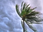 Tropical storm Bertha watches and warnings are in effect from Florida to Louisiana, indicating potential worsening conditions.