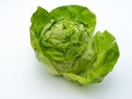 The FDA test for cyclospora on Taylor Farms' lettuce yielded a false positive. Image for representational purposes.