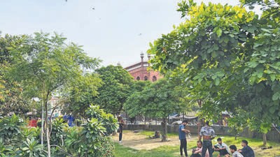 Delhiwale: This island of rahat Delhiwale: This island of rahat