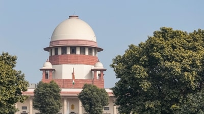 The court ordered that The court ordered that